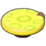 나무열매 테이블