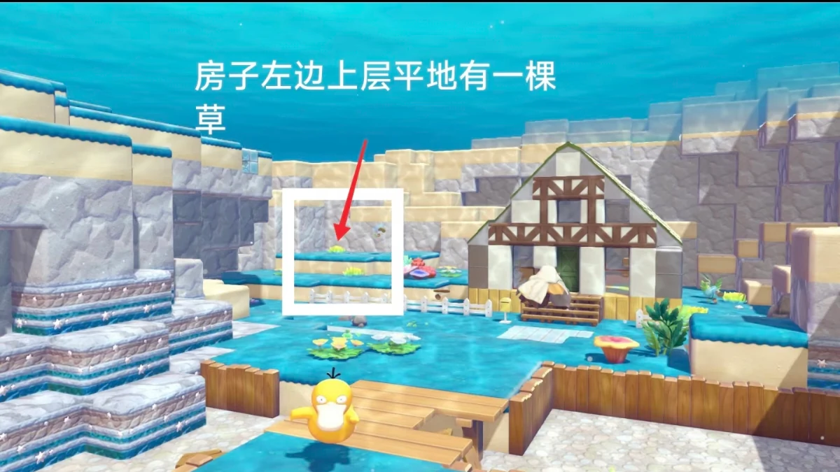 研究所左侧上层平台的草
